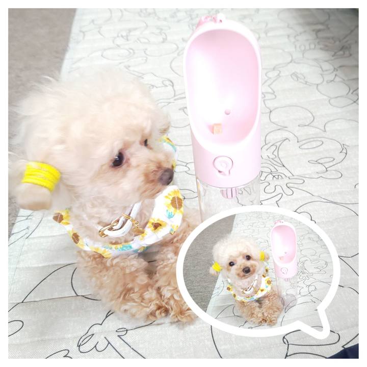 0e99dea9 adf7 4676 8d43 32cfaa5fee5f 1566550597755