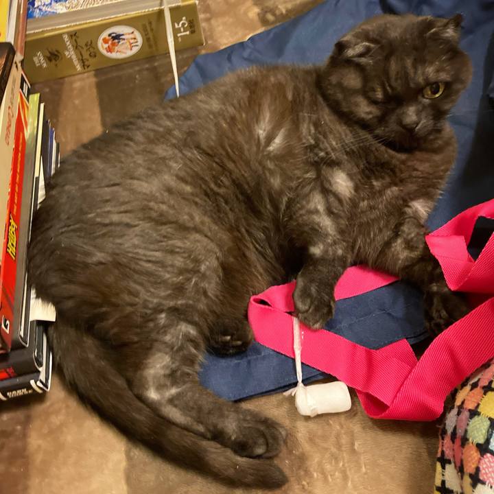 0e99e2a9 21ba 4799 abc4 368dccac2a4c 1590770073928