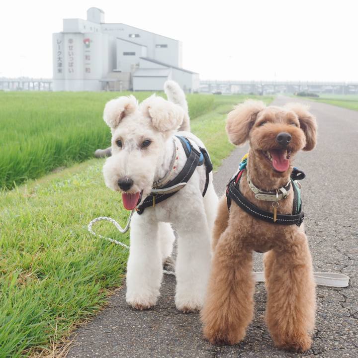 0e99f180 0ca8 49aa 9745 88857eb59e9c 1564281610531