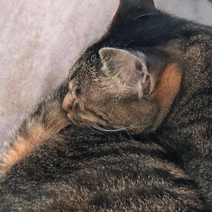 0e9a0868 c24a 4f8f 85a4 9a0cb51ff1a4 1530578985450