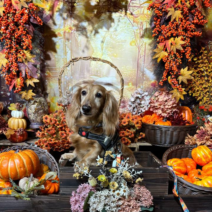 0e9a242e 46df 49ec 930f 072953cedc70 1730374973368