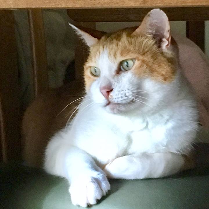 0e9a9b8d d243 4635 a20b c74daeee1905 1564629839374