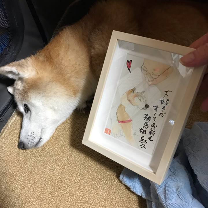 0e9a9fc4 053f 4fe0 875c 04f59c01385e 1544493380934