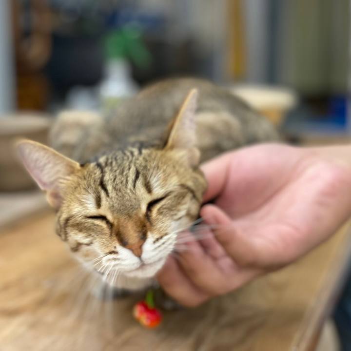 0e9aa35b fae7 4b6d b120 b443b4c2415c 1627206992175