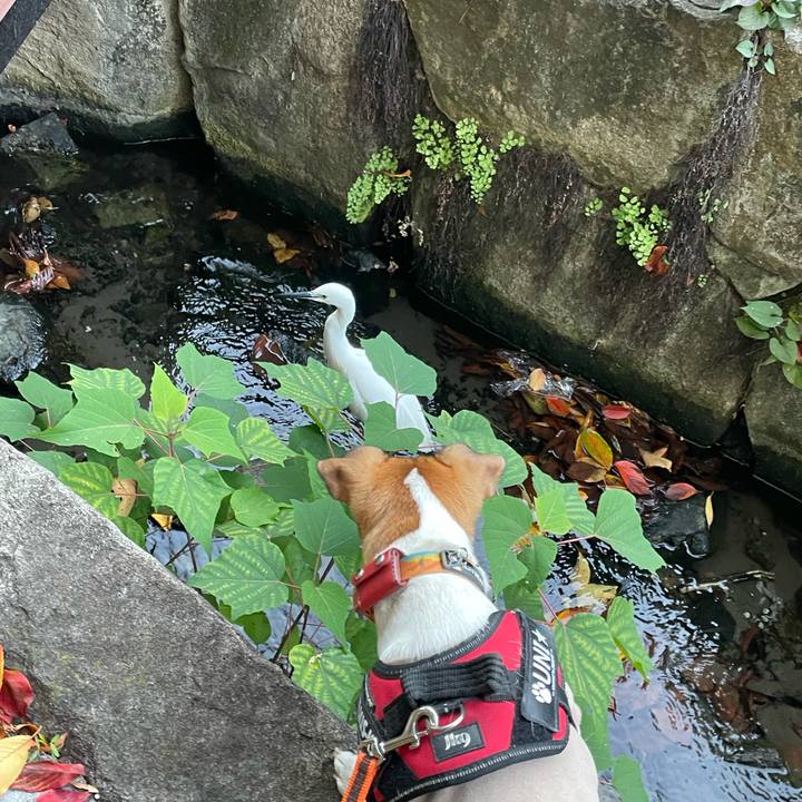 0e9aad80 4136 493f bb35 502c548f1be1 1700303628070