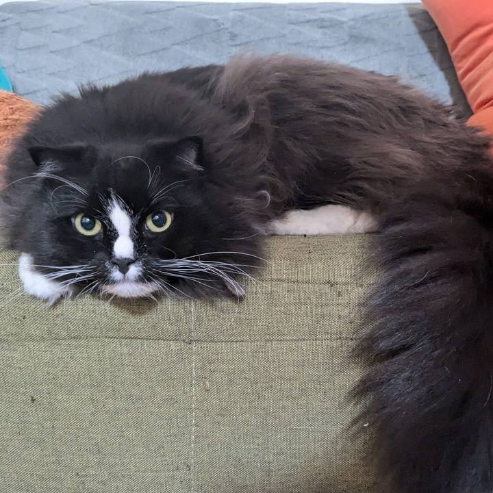 0e9acff0 1a0d 477a ae59 4da12128db44 1729464176213