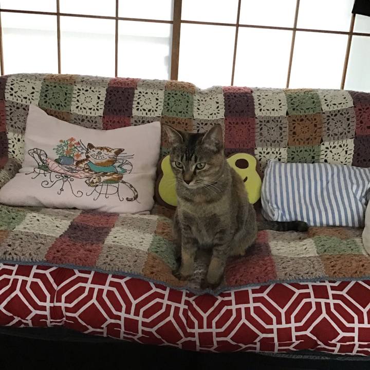 0e9afca9 a2f3 4a1d adcb 136579df5ab4 1581660404226