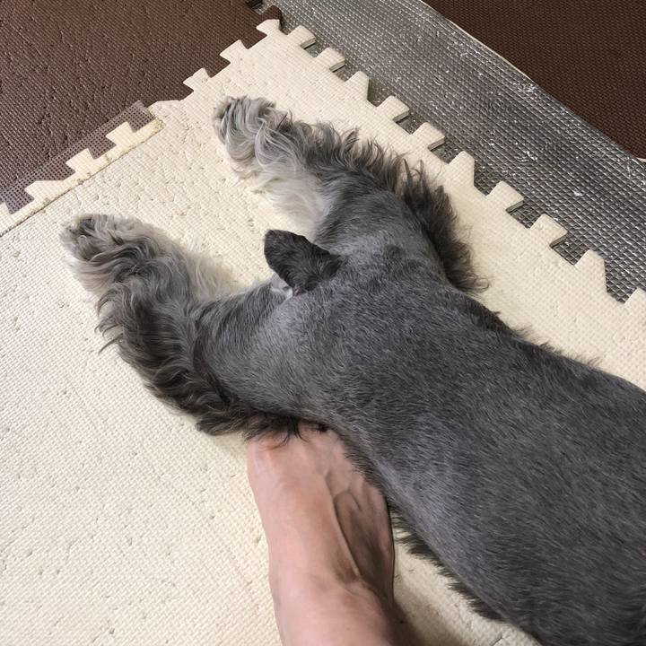 0e9b0816 ddef 4f3e b959 c5502a5594d7 1537061775772