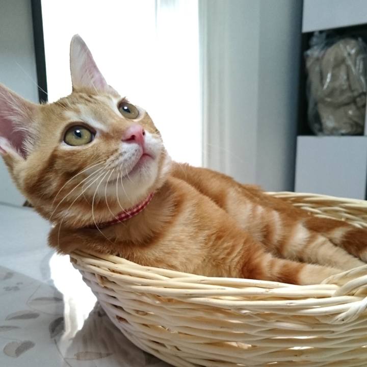 0e9b09f6 428a 4a43 85d7 20cea54a3cbb 1566292998443