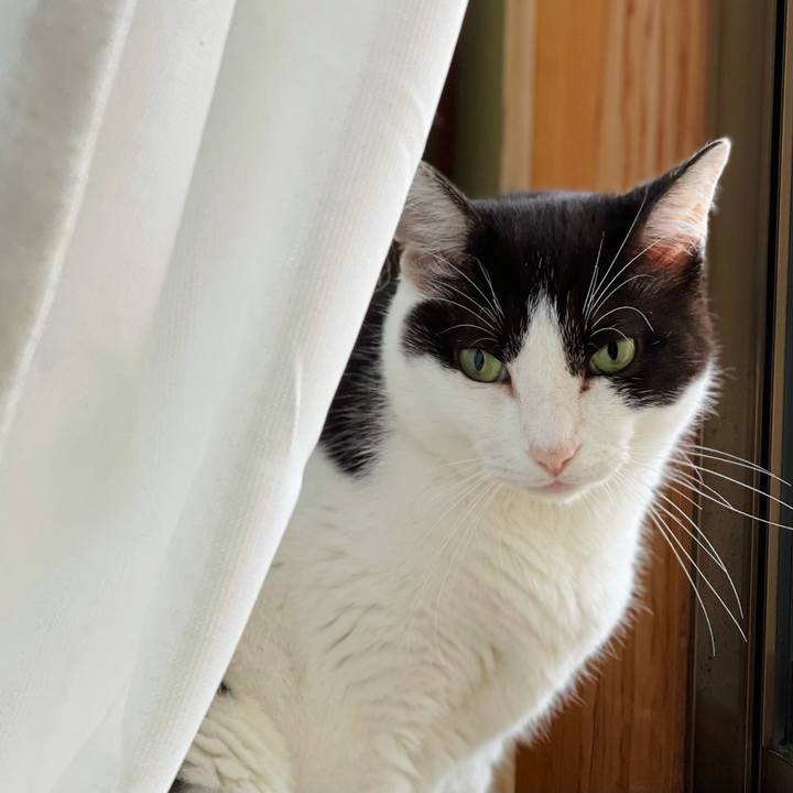 0e9b4ffa 98ac 46bd a762 2ad02e4bbe10 1628822445656