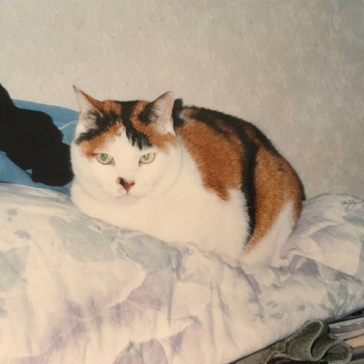 0e9b690c 7160 47f4 886e 4a9eb2a2d3f7 1595926603889