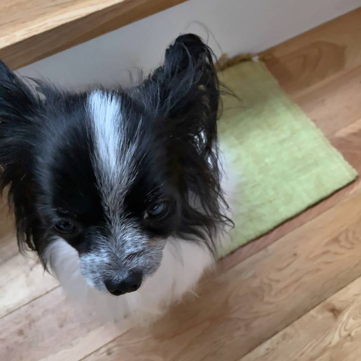 0e9baf58 e1b3 4e56 a8d0 01d13045c13b 1540677004496