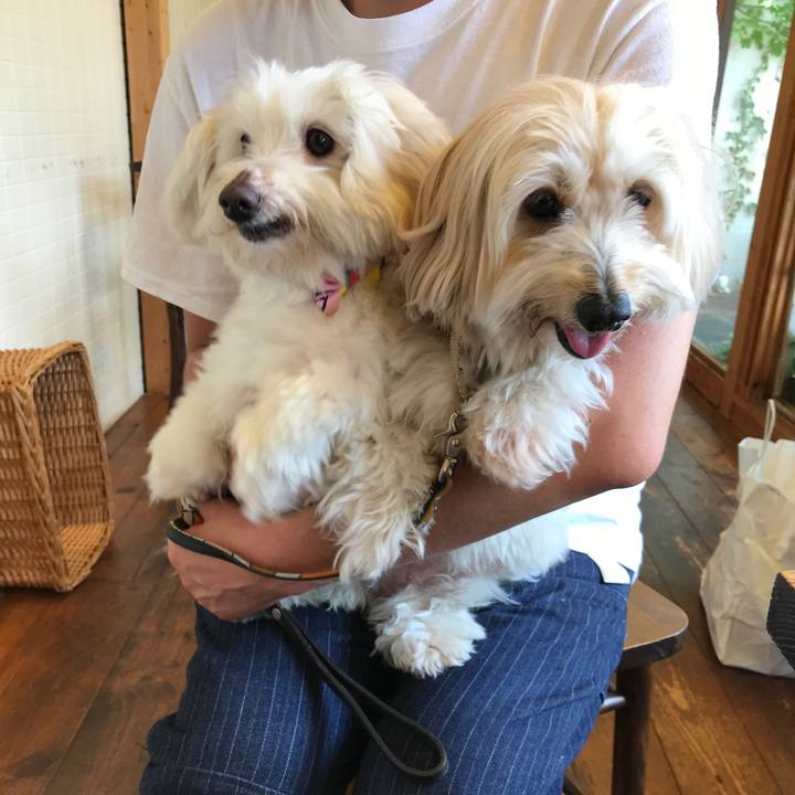 0e9bb5c5 3509 4448 8b47 5e6554af5423 1533289335199