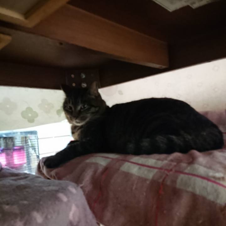 0e9bc7c3 4867 46c0 9cb4 c6f73170ddd6 1643663665094