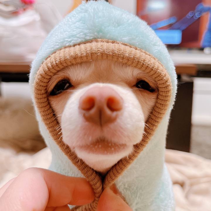 0e9bff10 d810 4d28 bbc4 8f2c7c792c77 1665041370490