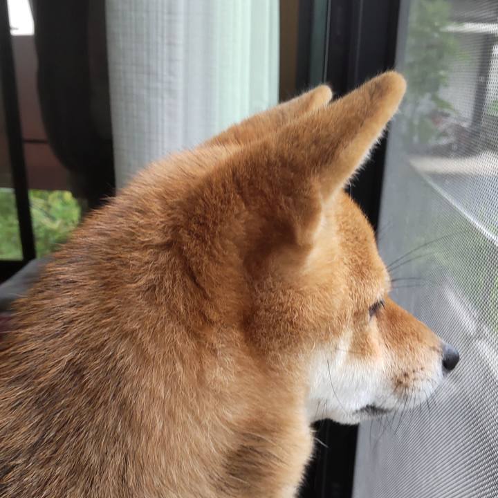 0e9c2e2d 11d1 4981 86df e8b40c742c34 1629190815223