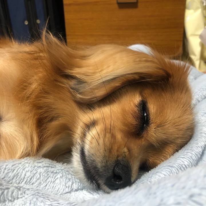 0e9c3dbe 11a0 4e9b 8ee6 69c5709e5cda 1542582800857