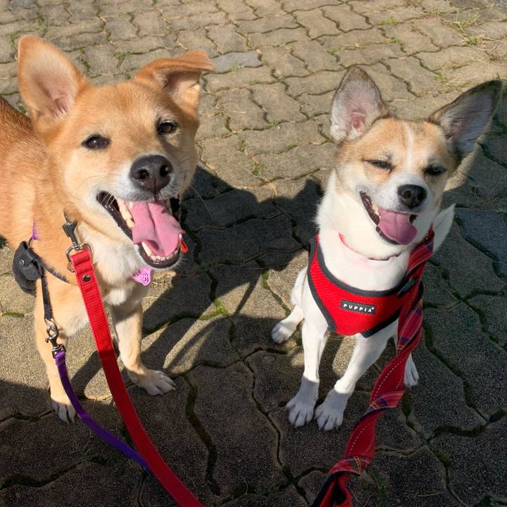 0e9c43b0 45aa 4dd3 a63f 32fdf1ea3f12 1570585421234