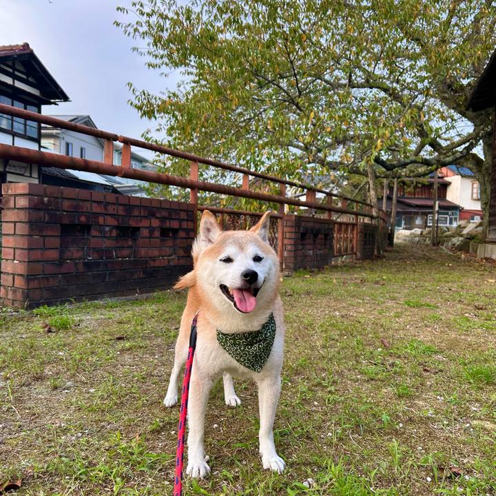 0e9c44fd fdc3 4115 a6bf d7061d8a9619 1758970624501