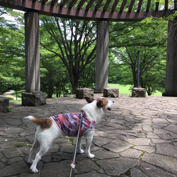 0e9c4c0d 3c79 440d a961 051b4a26b926 1657495280213