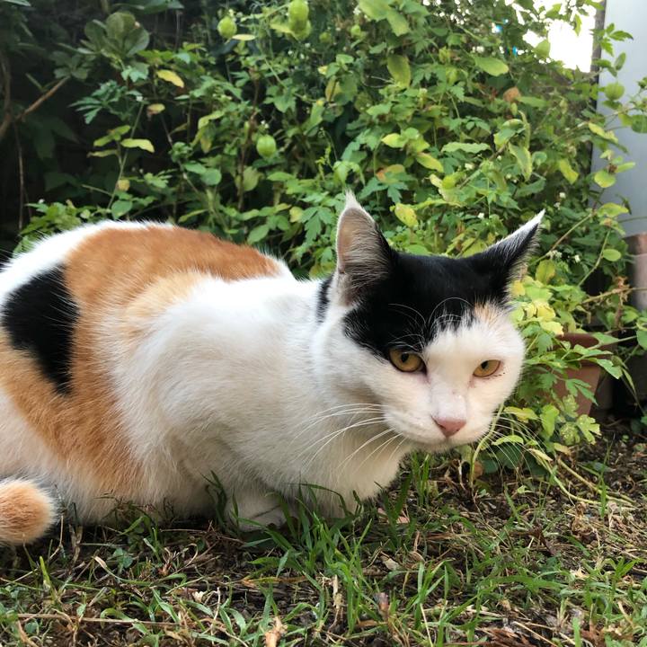 0e9c5839 92da 4881 8553 a3b2041deff6 1604529438444