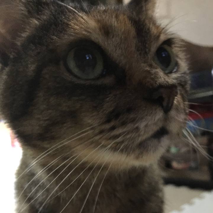 0e9c6ef2 f3e5 42a6 b873 957c99cf50ec 1512683196609