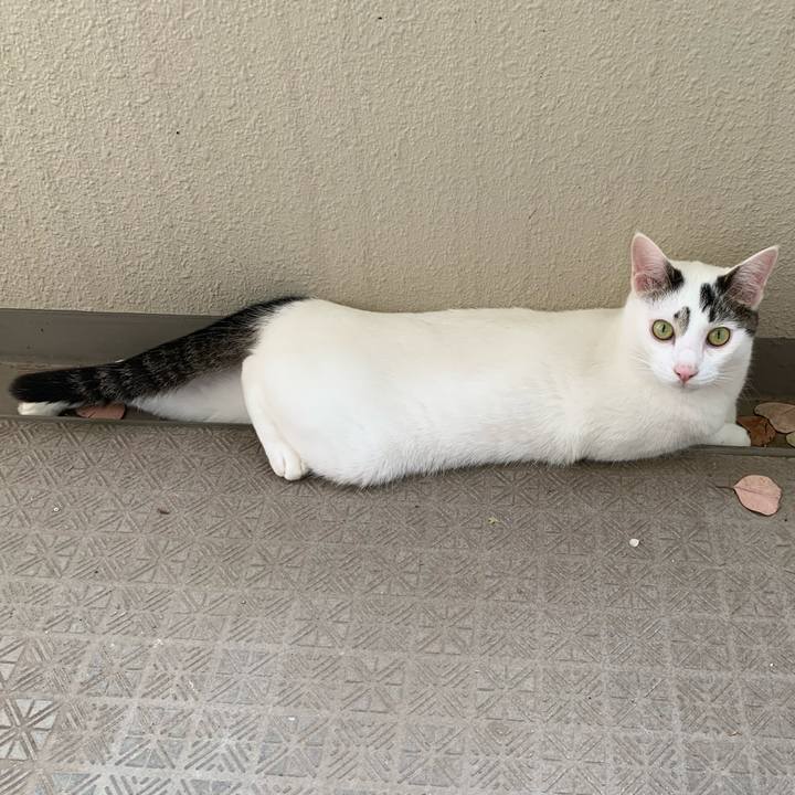 0e9ca24d be75 4b6c 92d0 0b1a34e196d7 1687771374829