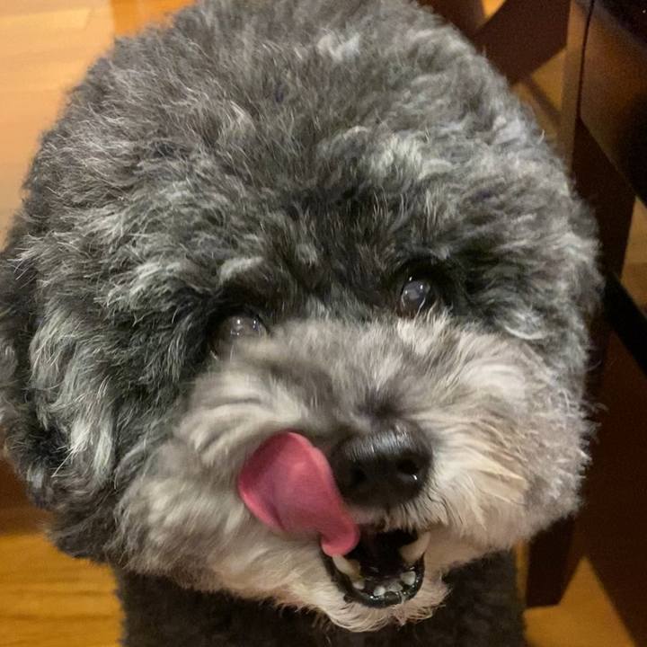 0e9cab9f 771f 4557 94f9 2ac329b39a6c 1633303968786