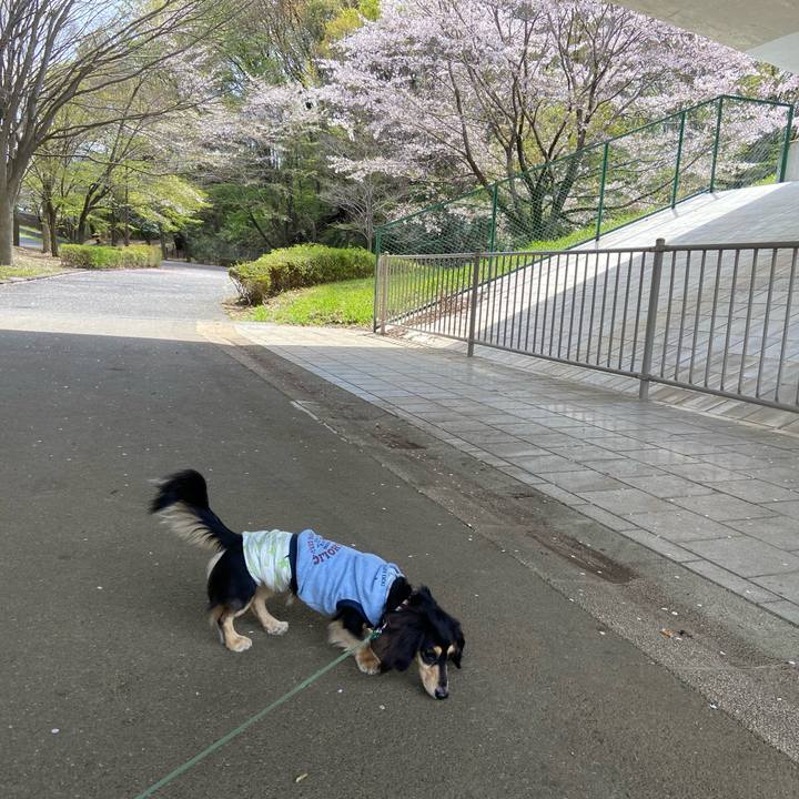 0e9cfc22 053c 4592 90e2 a2a38f8b81fe 1712812424305