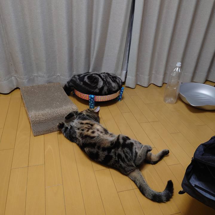 0e9d01da 3070 4356 9815 ac1451e1565e 1627300435131