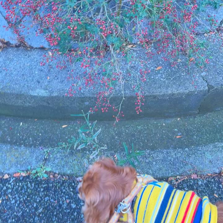 0e9d03bc c187 4ca6 bd01 1783a80a75ec 1673741143017