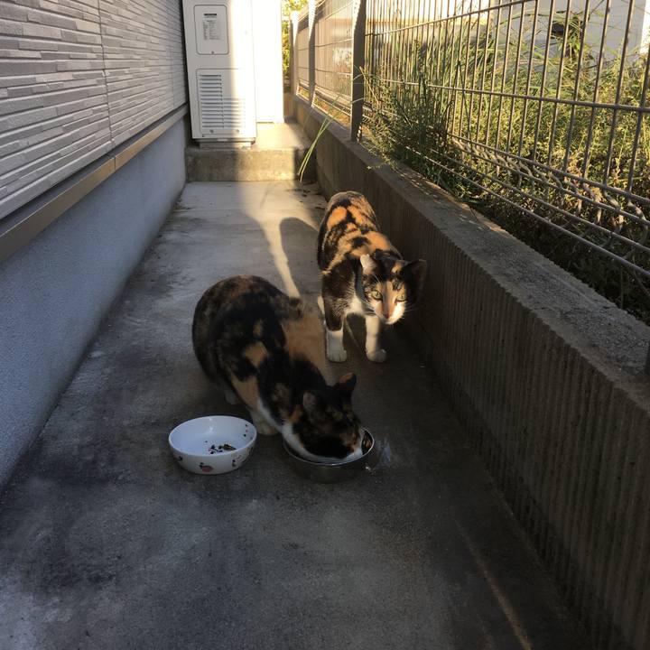 0e9d136d 2359 4d4c aea8 f928041de09e 1510485614795