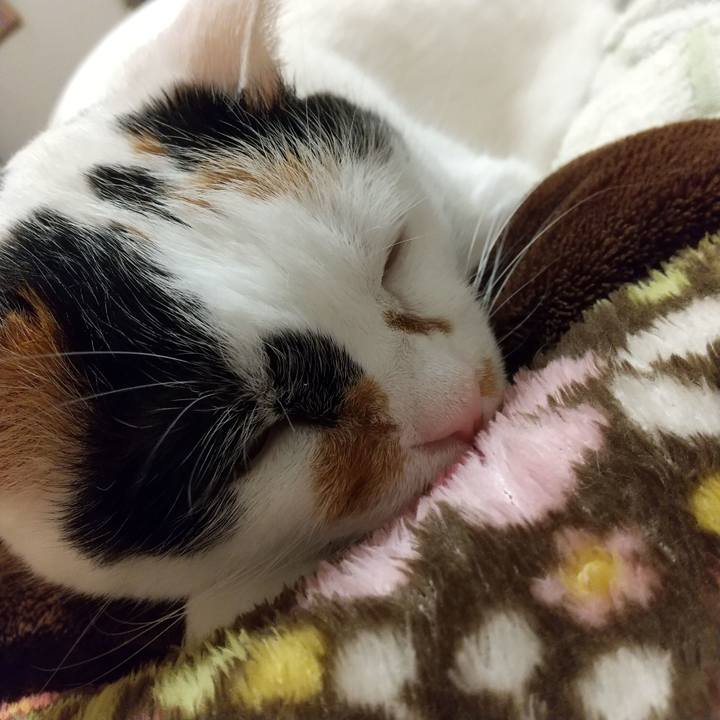 0e9d49c7 7655 45c2 a1d3 de5ffc46e4fc 1681741343112