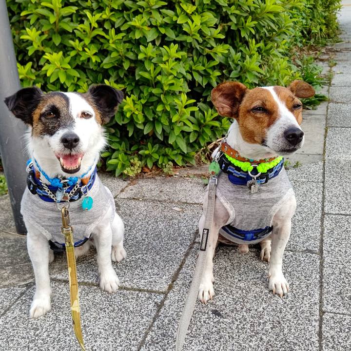 0e9d6211 f19b 4e9f 9a30 467448dd4c76 1623369567722