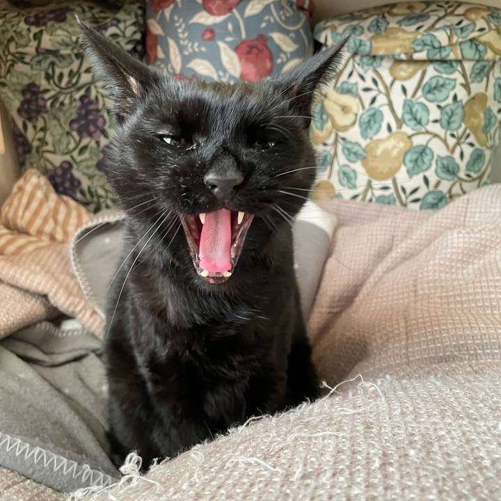 0e9d9ef8 c58d 4ecc 8132 b7ca2c85397a 1771713775298