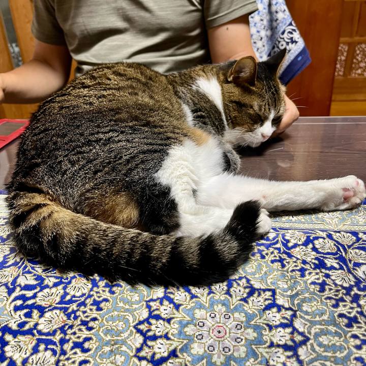 0e9e0079 b8b5 4ee8 88bc 01faeb3444a6 1756639153690