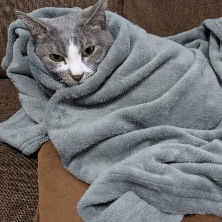 0e9e0db2 2cdc 4fea 9042 4c46645bd435 1738470158243