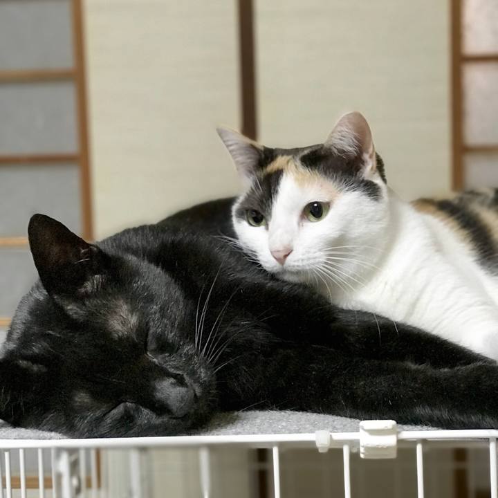 0e9e13f8 4dd2 415c b15d f0c03fbb37b0 1536626341792