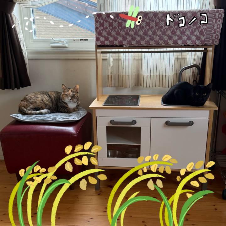 0e9e4e6d c5d5 4c1f bc25 9ace7b693594 1761171548246