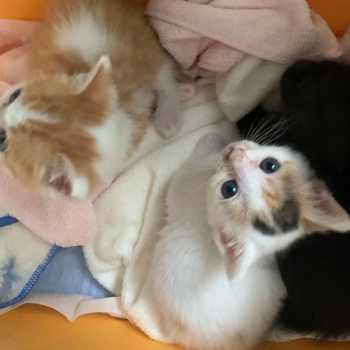 0e9e61f2 2847 4474 b534 bbc2c8222c4c 1634452199368