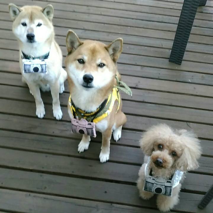 0e9e7791 a0b0 4722 91a9 7273c1a431cf 1542787441010