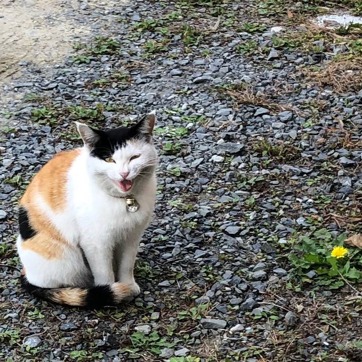 0e9ee755 262c 4bb5 8c2b bfb9e5342b94 1605619818161