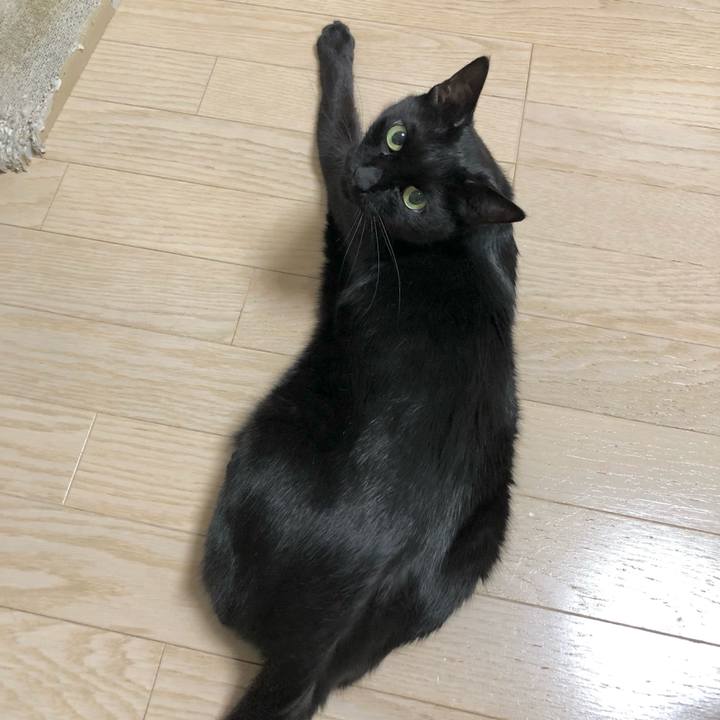 0e9f3e17 7e76 4455 9ecc fa09846d3986 1629984576743