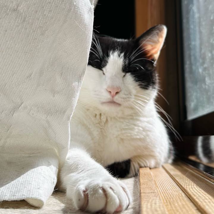 0e9f6c40 5c45 482e af30 5a4127b7dff0 1716427284086