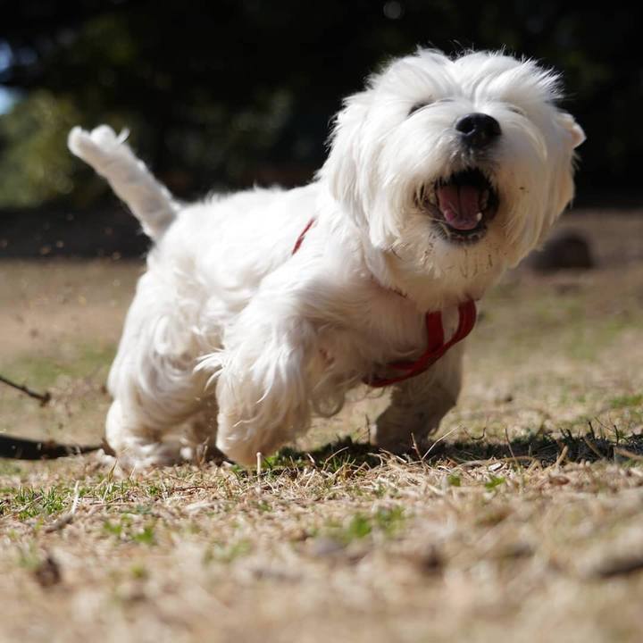 0e9faccc 7bd8 4b40 af16 2555d3aefab2 1520342465355