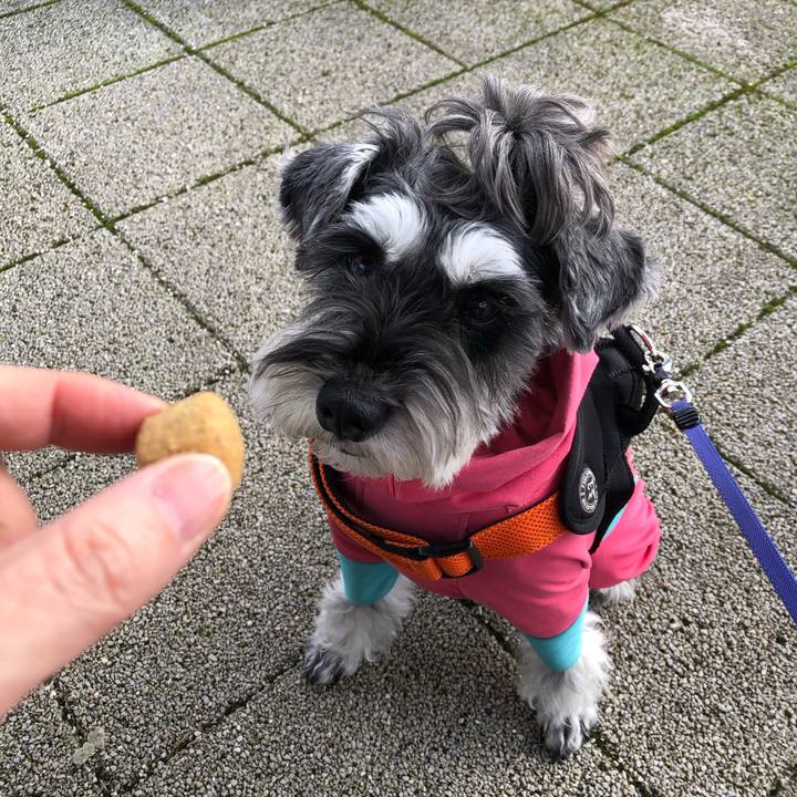 0e9fb1c1 207f 4c31 b01d 49f176291d47 1701502355501