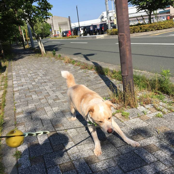 0e9fcdc4 e3f3 4b28 aba4 05d6d2ed03aa 1527980285149