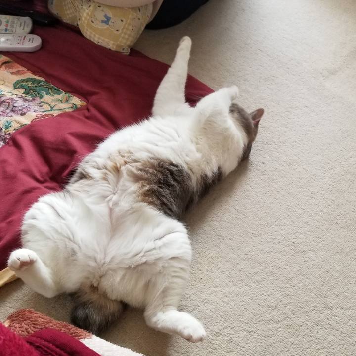 0e9fd22c 4699 448e 9f8f ec9f9c88fede 1653349192651