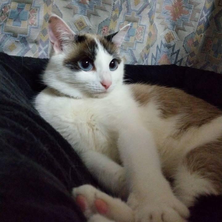 0e9fe113 5325 4706 a7a8 0f433550db9a 1588654031916