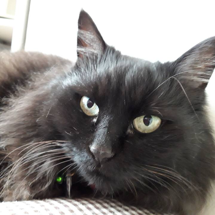 0e9fea33 0325 48d4 935a 4d5e8c97711b 1522560954846